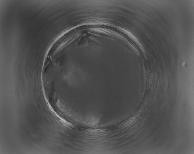 X0000082970943200702230003
