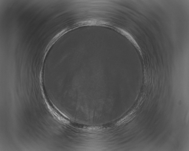 X0000082970946200702230003