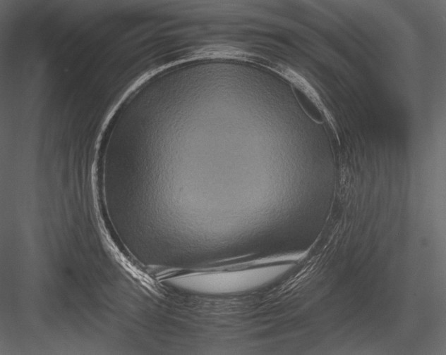 X0000082970947200702230003