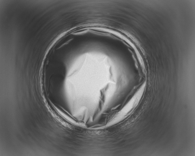 X0000082970949200702230003