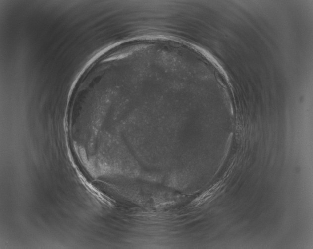 X0000082970951200702230003