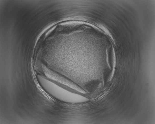 X0000082970952200702230003