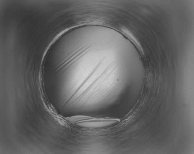 X0000082970956200702230003
