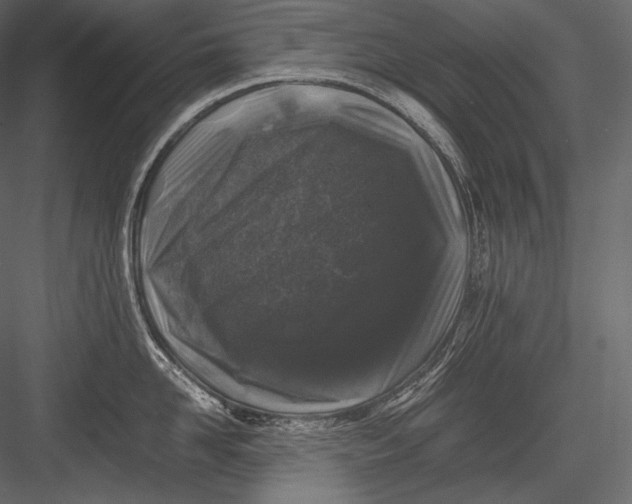 X0000082970958200702230003