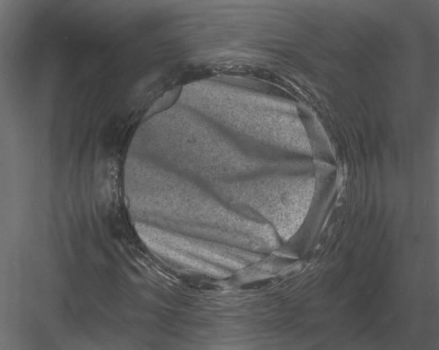 X0000082970964200702230002