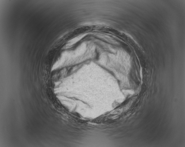X0000082970967200702230002