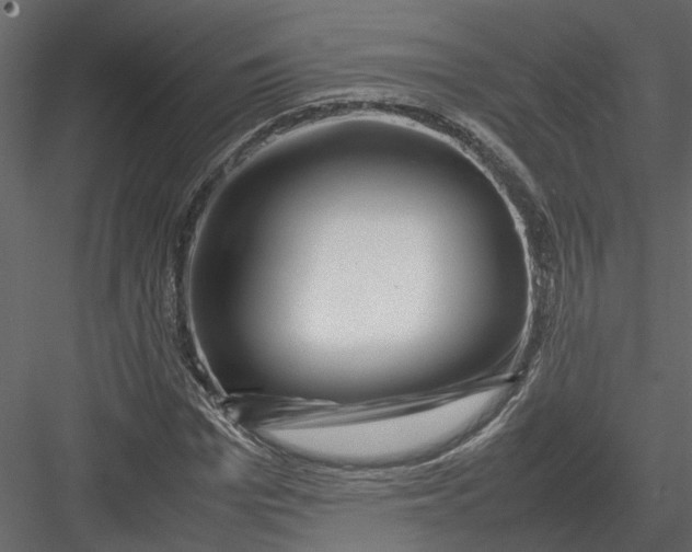 X0000082970969200702230002