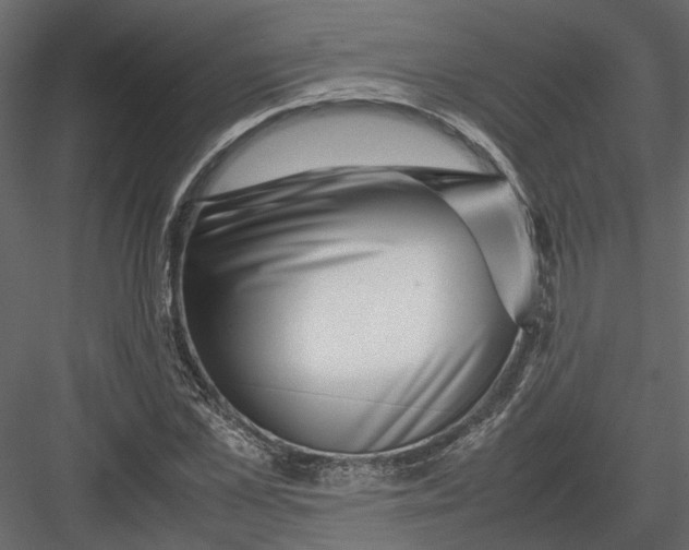 X0000082970973200702230002