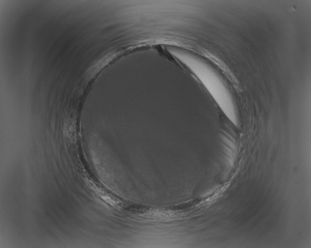X0000082970977200702230002