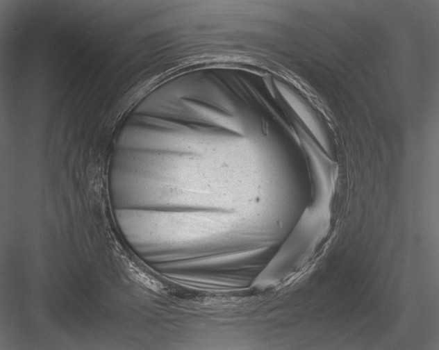 X0000082970985200702230002