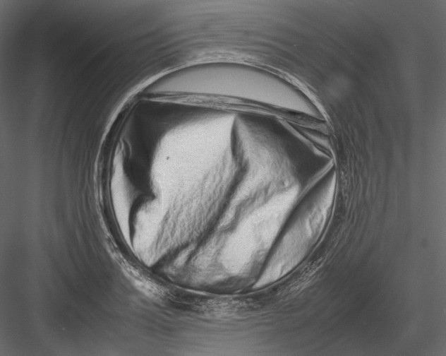 X0000082970987200702230002