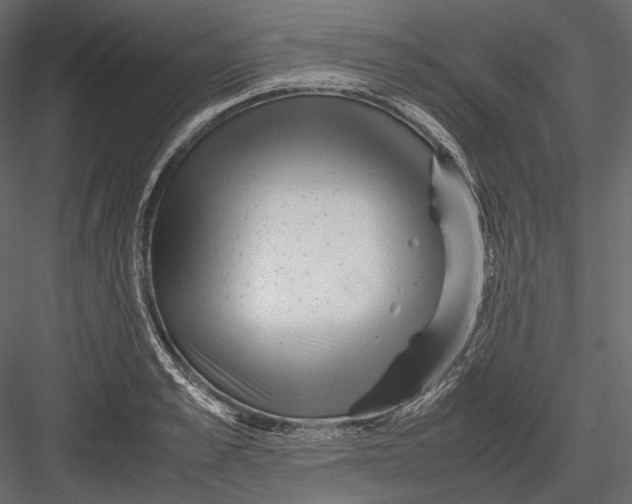X0000082970989200702230002