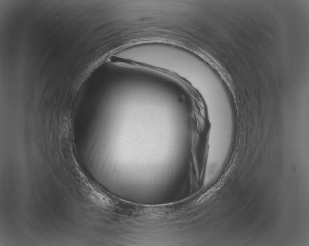 X0000082970993200702230002