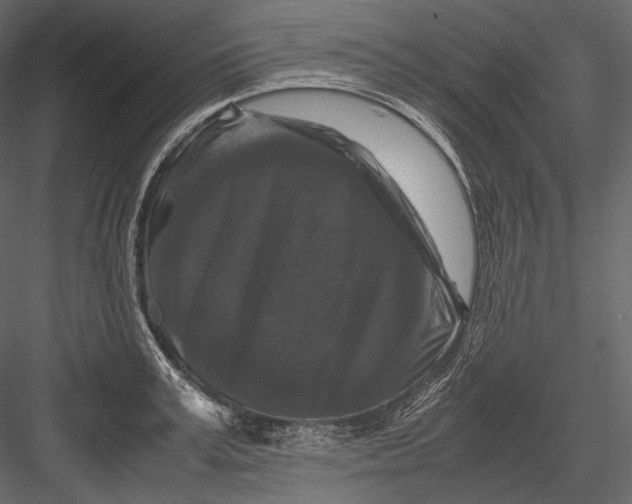 X0000082970995200702230002
