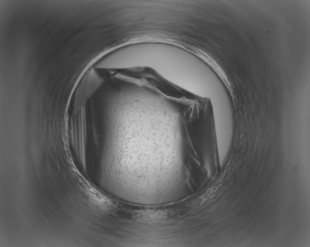 X0000082970996200702230002