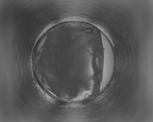X0000082970998200702230002