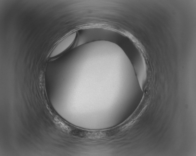 X0000082971001200702230002