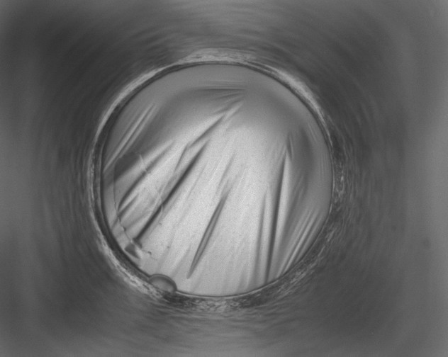 X0000082971003200702230001