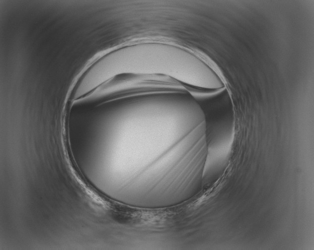 X0000082971005200702230001
