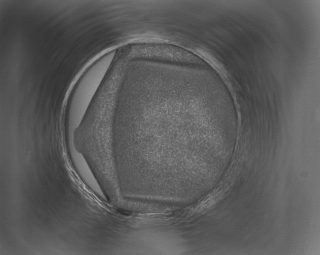 X0000082971008200702230001