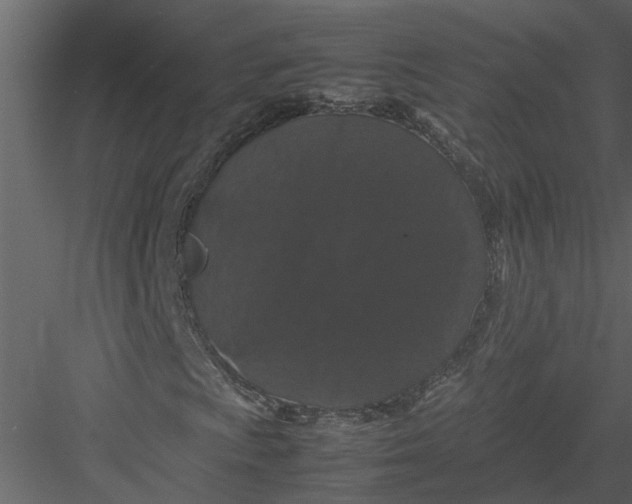 X0000082971009200702230001