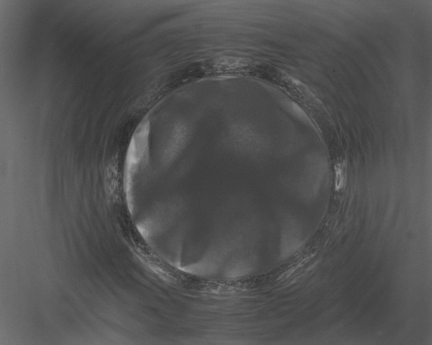 X0000082971011200702230001