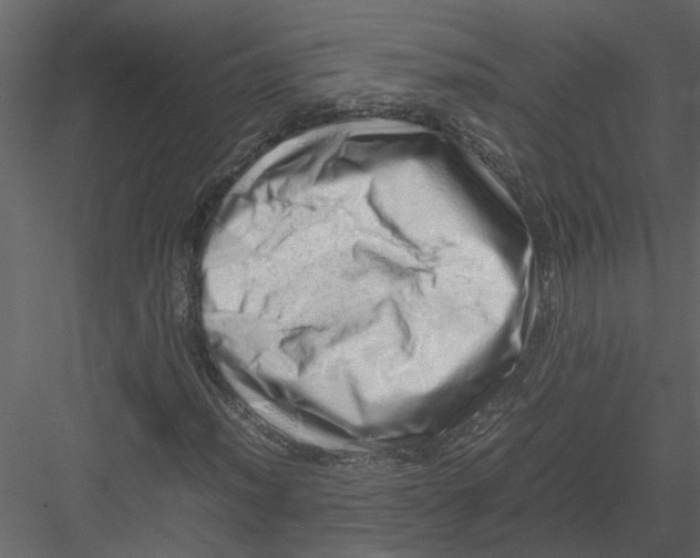 X0000082971012200702230001