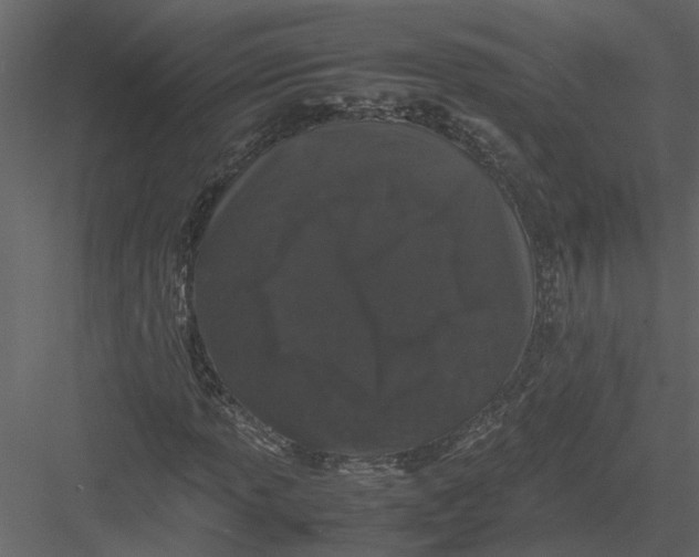 X0000082971013200702230001