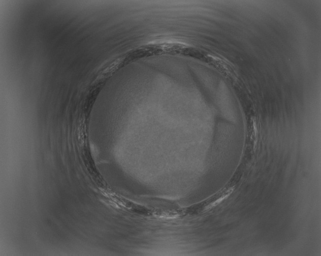 X0000082971014200702230001
