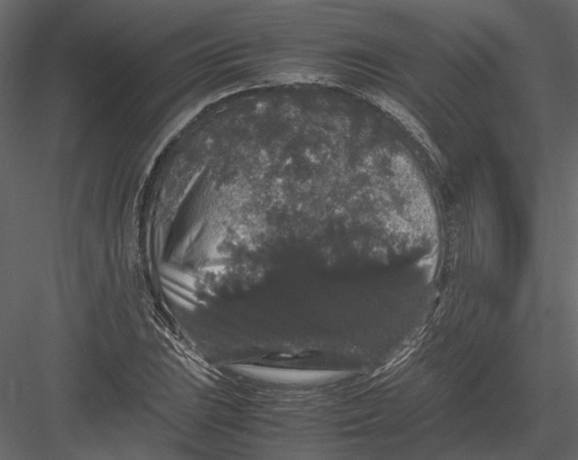 X0000082971023200702230001