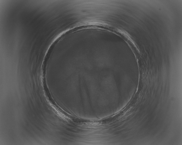 X0000082971024200702230001
