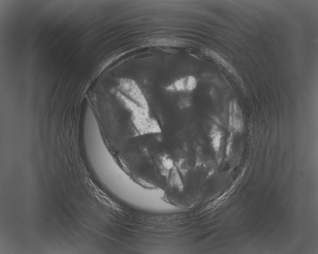 X0000082971025200702230001