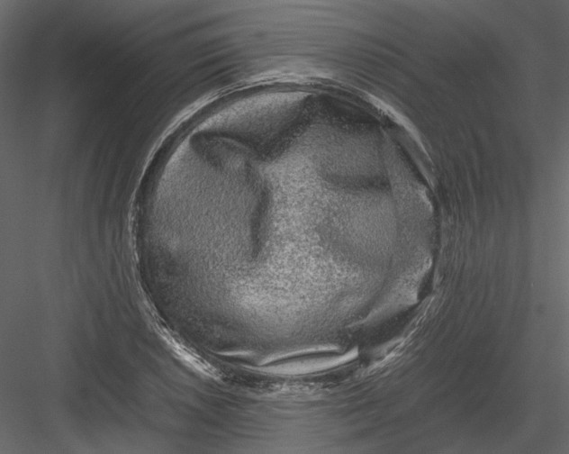 X0000082971026200702230001
