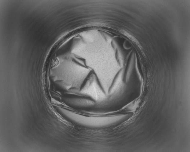 X0000082971029200702230001