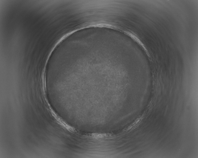 X0000082971032200702230001