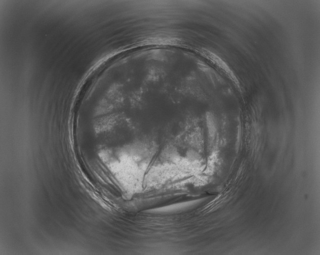 X0000082971035200702230001