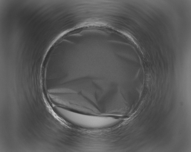 X0000082971038200702230001