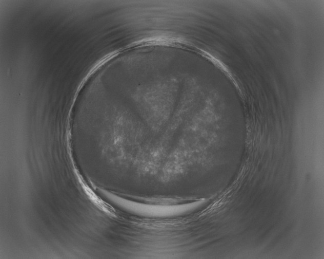 X0000082971042200702230001