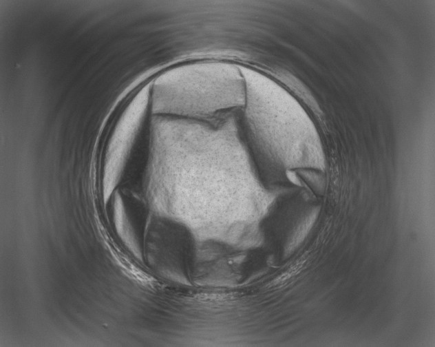 X0000082971044200702230001