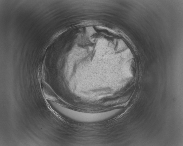 X0000082971049200702230001