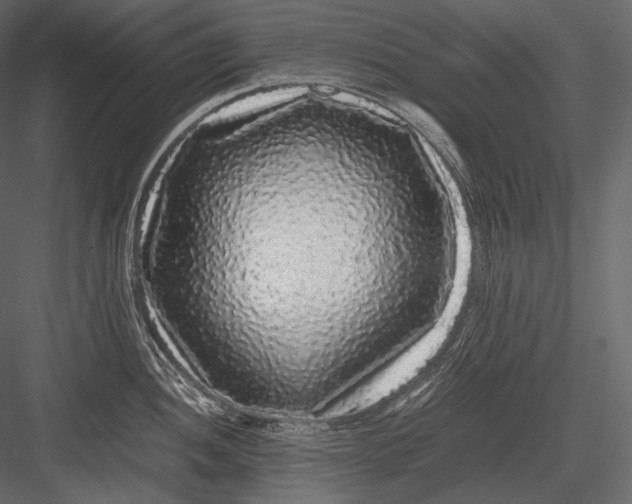 X0000082971052200702230001