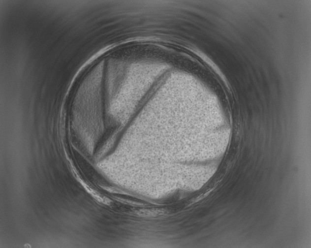 X0000082971053200702230001