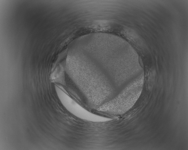 X0000082971058200702230000