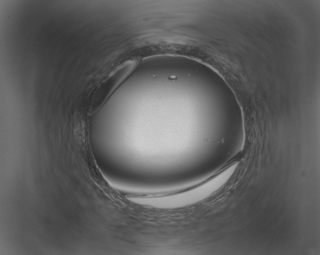 X0000082971061200702230000