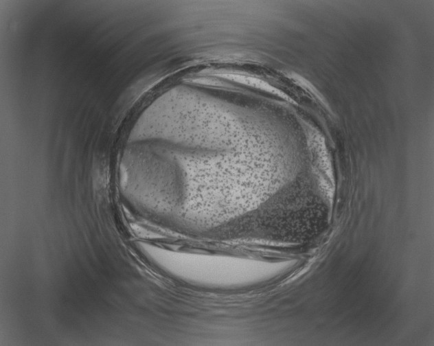 X0000082971065200702230000