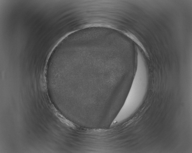X0000082971068200702230000
