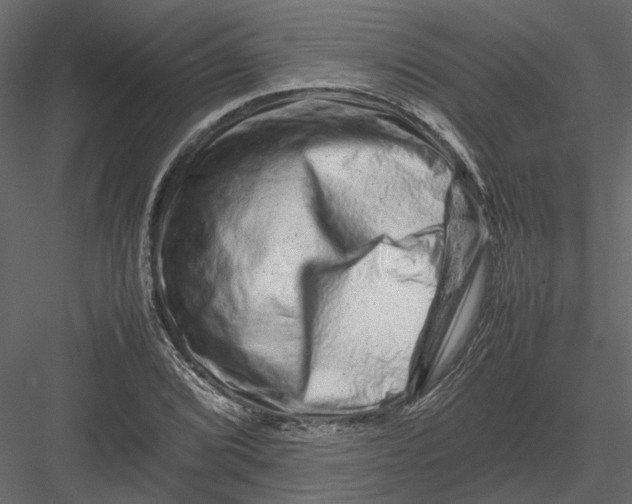 X0000082971072200702230000