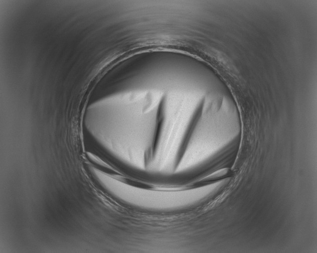 X0000082971073200702230000