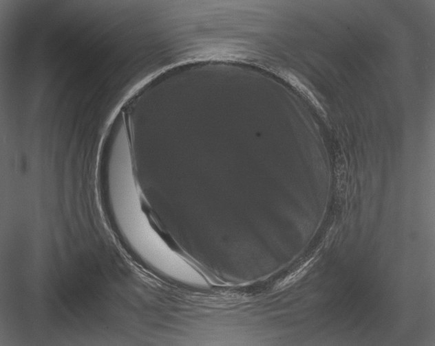 X0000082971077200702230000