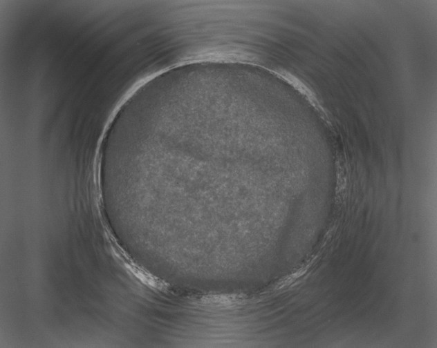 X0000082971078200702230000